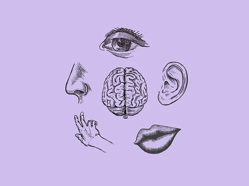 Summer Camp: Superhero Science