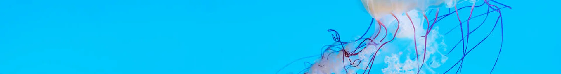 Mote Marine Laboratory