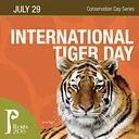 International Tiger Day