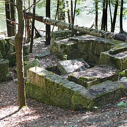 Historical Walk at Gambo Preserve (and Orchard Ridge Farm!)