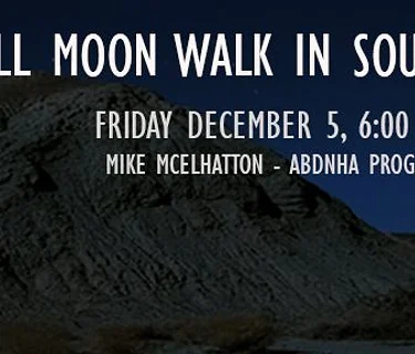 Full Moon Walk: South Palm Wash (Easy)