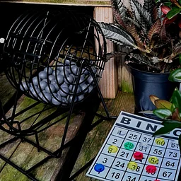 Plant Bingo