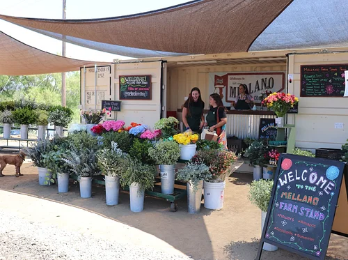 Farm Stand Open |10:30am – 5:00pm| Thursday — Sunday