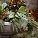 Garden to Vase: Holiday Centerpiece