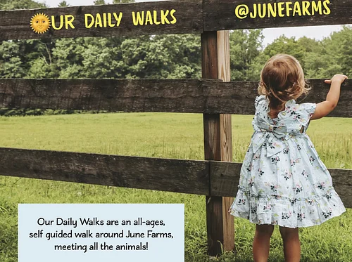 Our Daily Walks 🐣