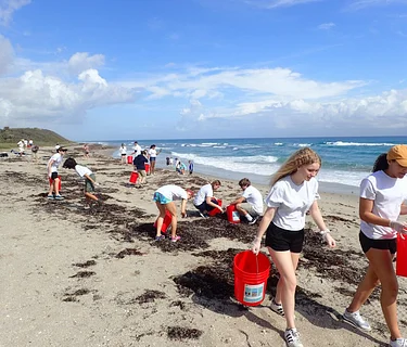 Beach Cleanup