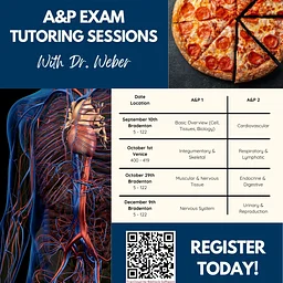 A&Pizza – Anatomy and Physiology Exam 2 Tutoring Session with Dr. Weber