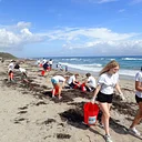 Beach Cleanup