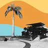 St. Pete