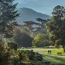 Free Day: San Francisco Botanical Garden