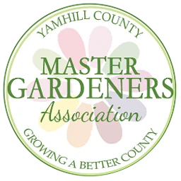 YCMGA Board meeting