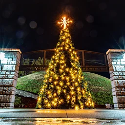Christmas Tree Lighting, Drone Light Show & Lighted Golf Cart Caravan Ride