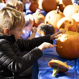 Halloween in the Historic District