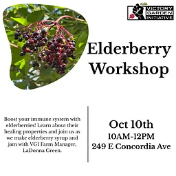 Elderberry Workshop