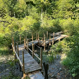 Wetland Walk with Zapata Courage