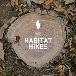 Habitat Hike: Wandering in the Wetlands