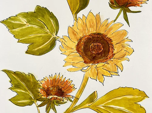 Botanical Watercolors w/ Addie Hirschten