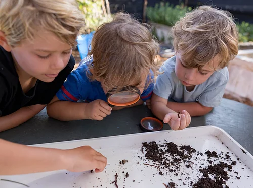 Sprout & Shout Farm Camp