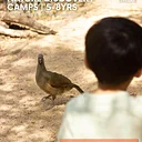 Nature Discovery Camps – Wonders of Wildlife