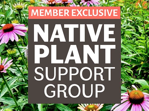 Native Plant Support Group: Pollinator Partnerships