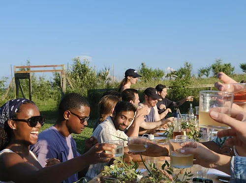 Treetop Journeys Dinner