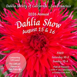 Dahlia Society of California, San Francisco Annual Dahlia Show