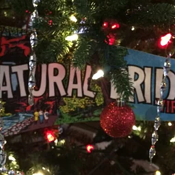 Festival of Trees