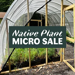 Native Plant Micro Sale