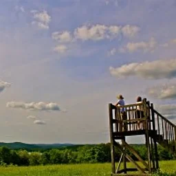 The Ron and Joan Jones Memorial Hikes: Morning Ramble to Laurel Hill, Cat Swamp, and Apple Hill