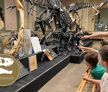 Summer Camp: Dinosaurs