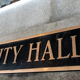 city council meeting