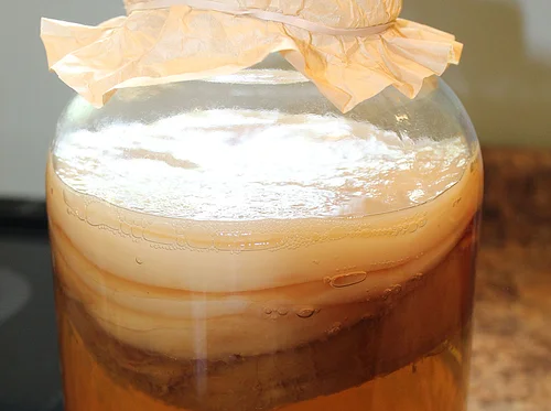 Kombucha Making