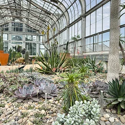 WORLDS UNDER GLASS: DESERT TO RAINFOREST TOUR: AUGUST 18