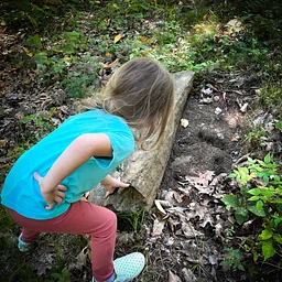 Homeschool Guided Tour for Kids & Families