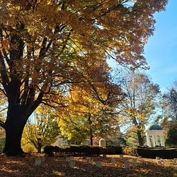 DAY TRIP: Old City Cemetery & Arboretum Tour