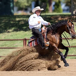 WCRHA Year End Show