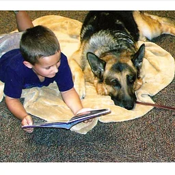 Read To Therapy Dogs