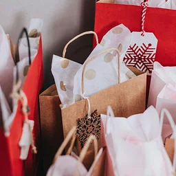 CBAA General Meeting/Holiday Market
