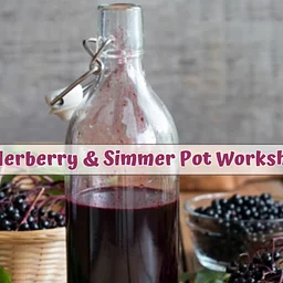 Elderberry & Simmer Pot Workshop