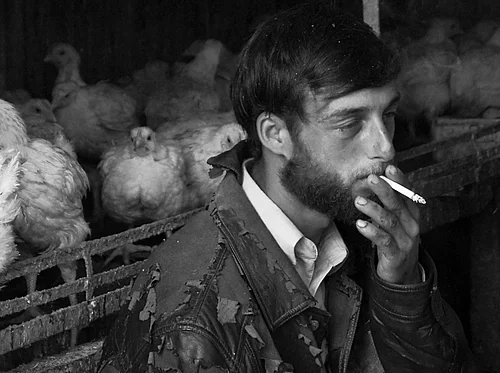 25th Annual Members’ Show Award Ceremony