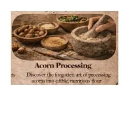 Historical Trades at the Inn - Acorn Processing