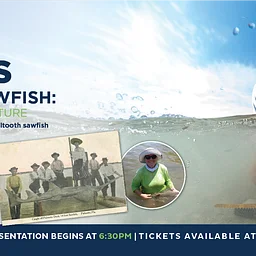 think + drink presents Florida’s Endangered Sawfish: Past, Present, and Future