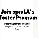 Foster Training Class – August 8th