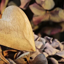 Gathering the Gifts: A SoulCollage® Journey into Gratitude