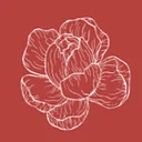 Cowgirls of the West Museum