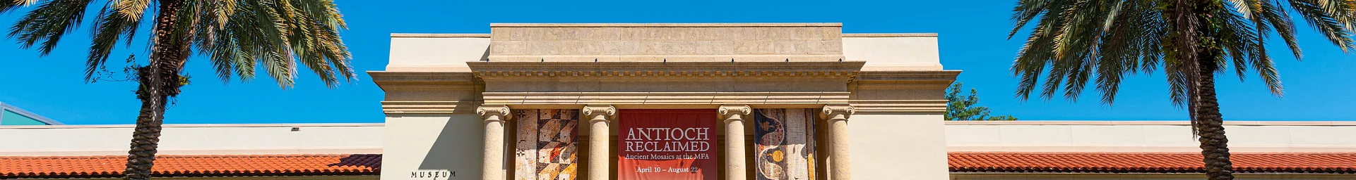 Museum of Fine Arts St. Petersburg