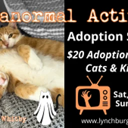 Purranormal Activity Cat & Kitten Special!