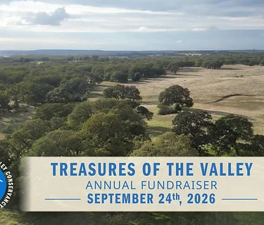 Treasures of the Valley
