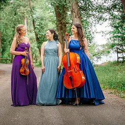 Romantic Reflections by the Champlain Trio