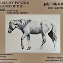 The Beauty, Power and Elegance of the Horse